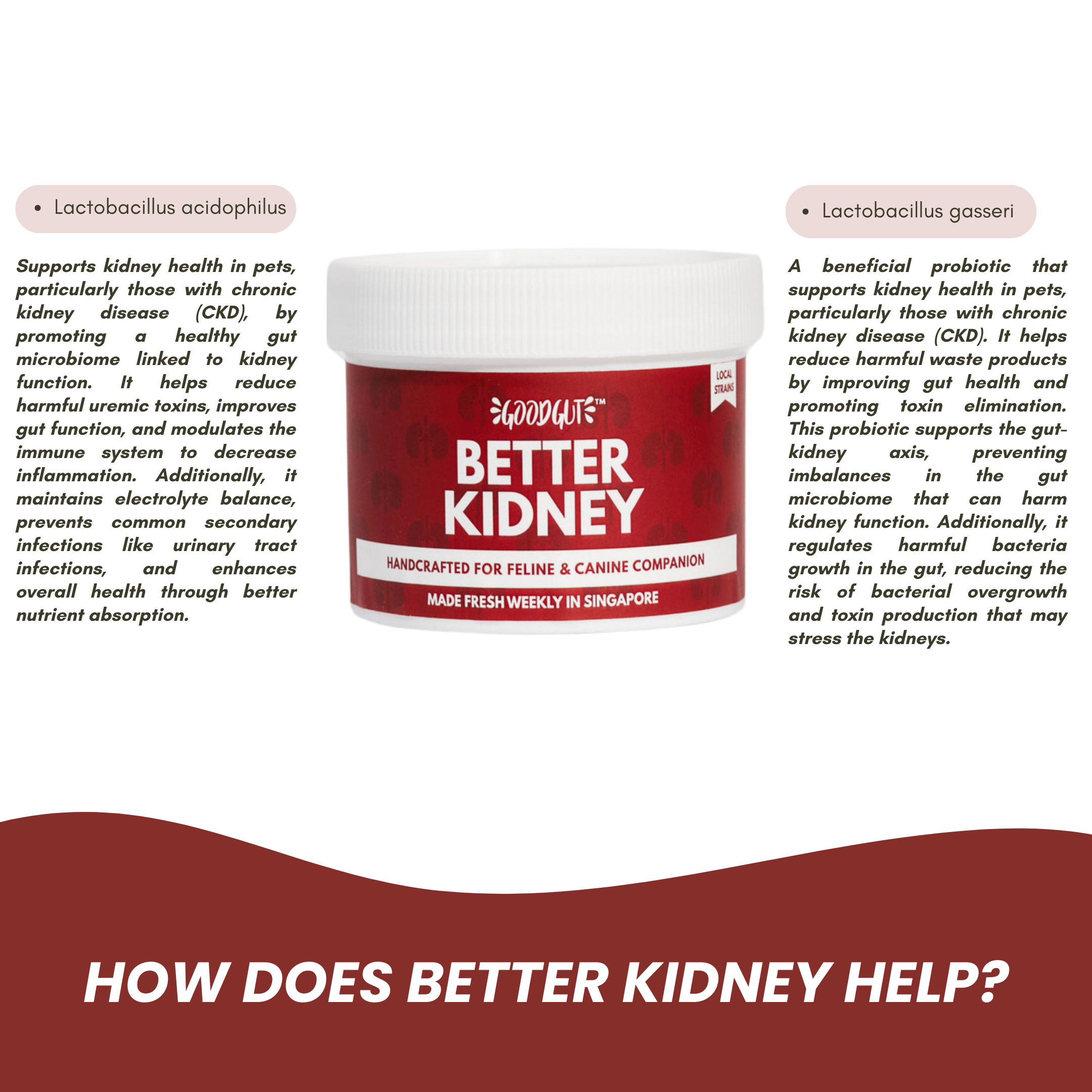 Better Kidney