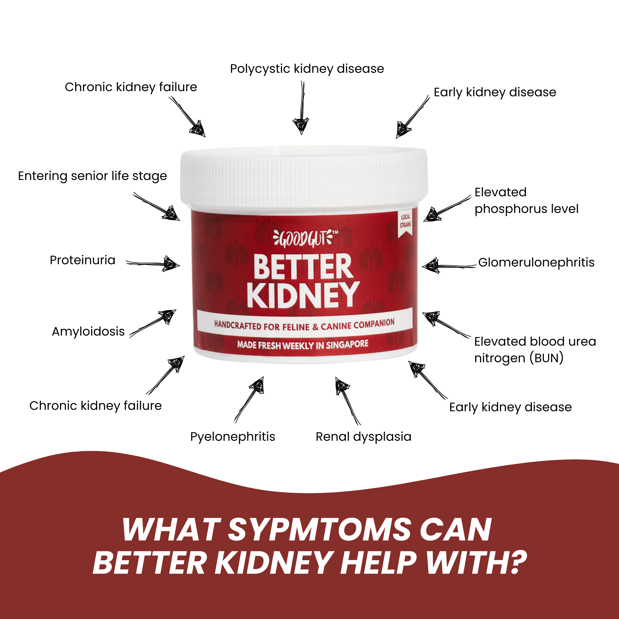 Better Kidney