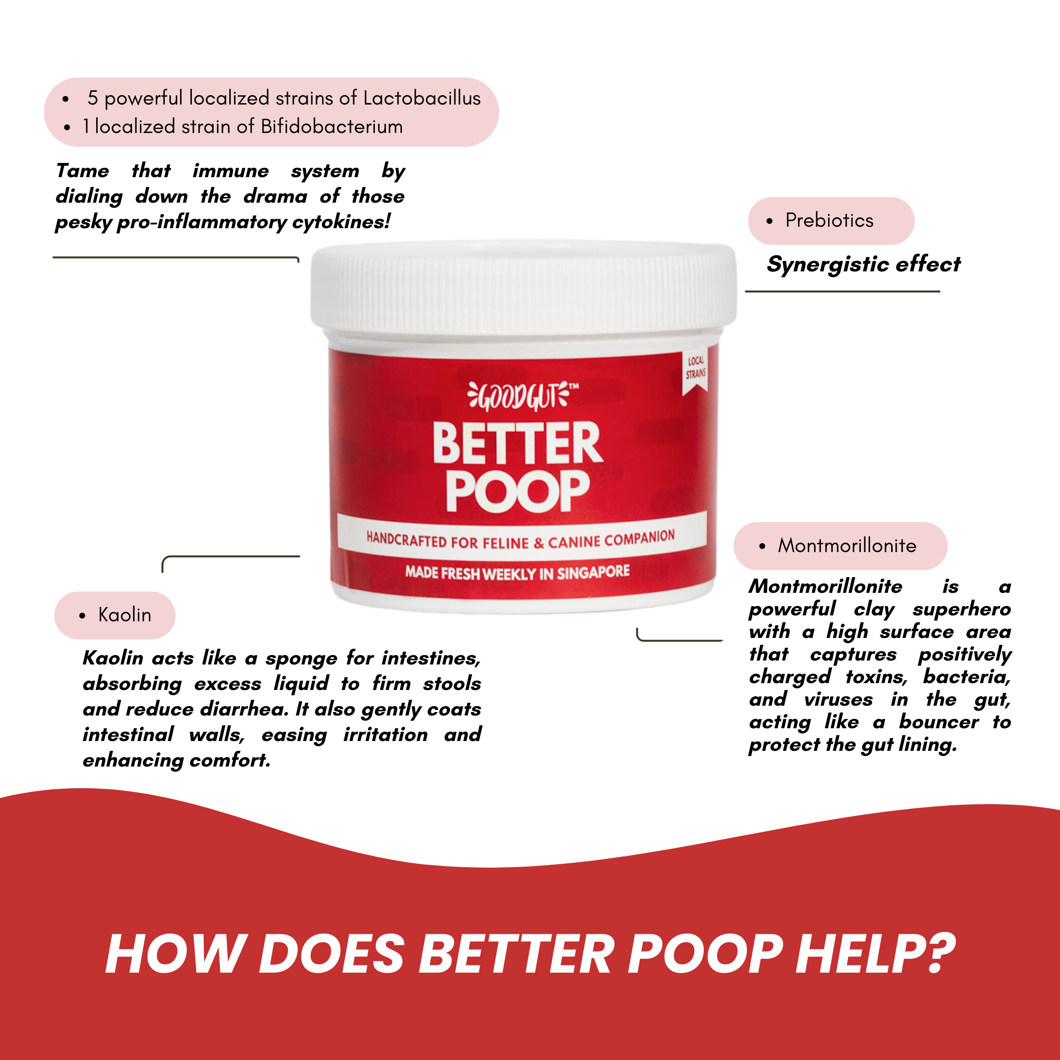 Better Poop