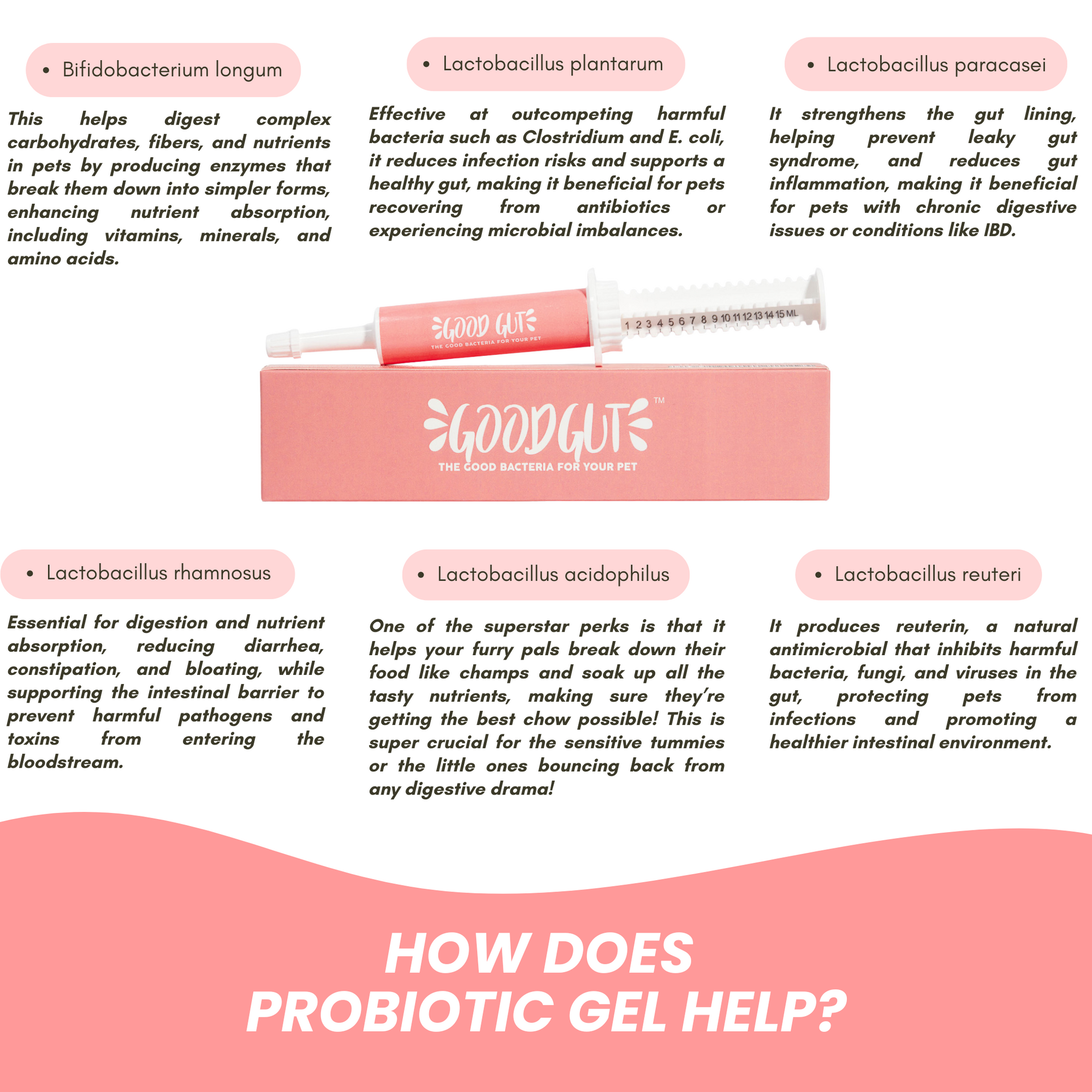 Good Gut Probiotic Gel