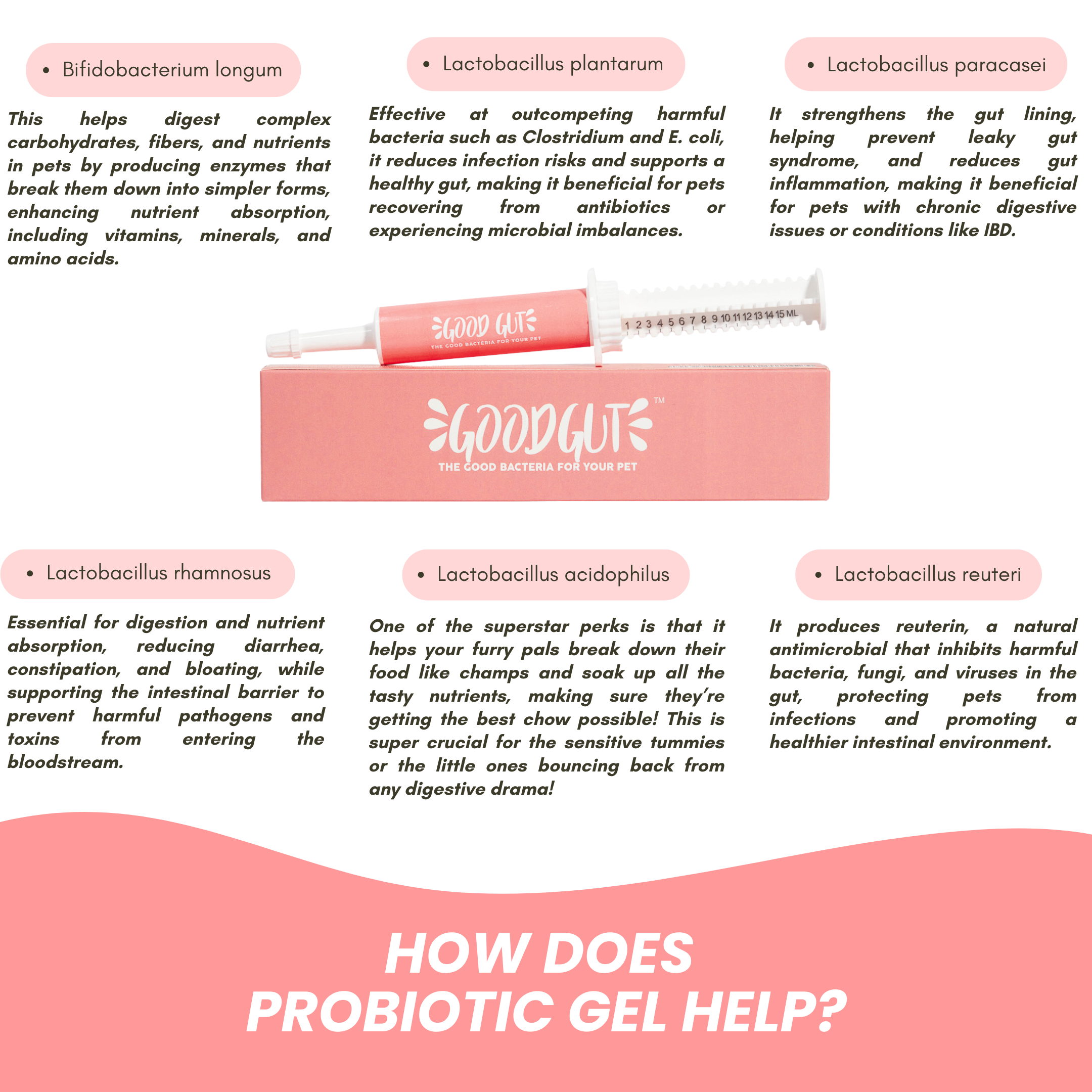 Good Gut Probiotic Gel